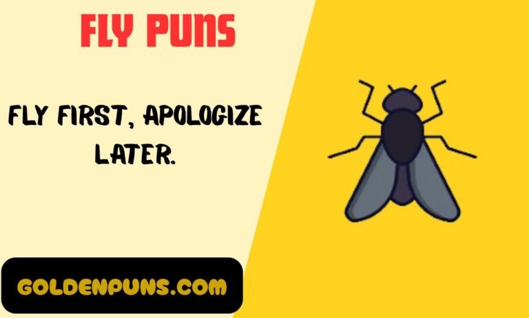 Fly Puns