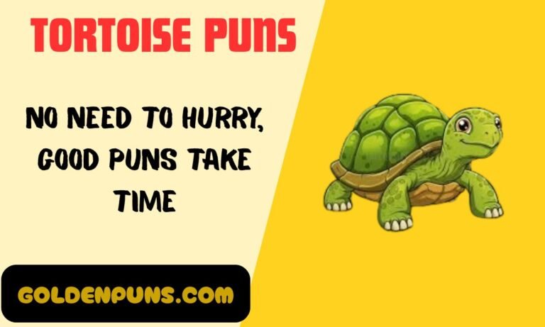 Tortoise Puns