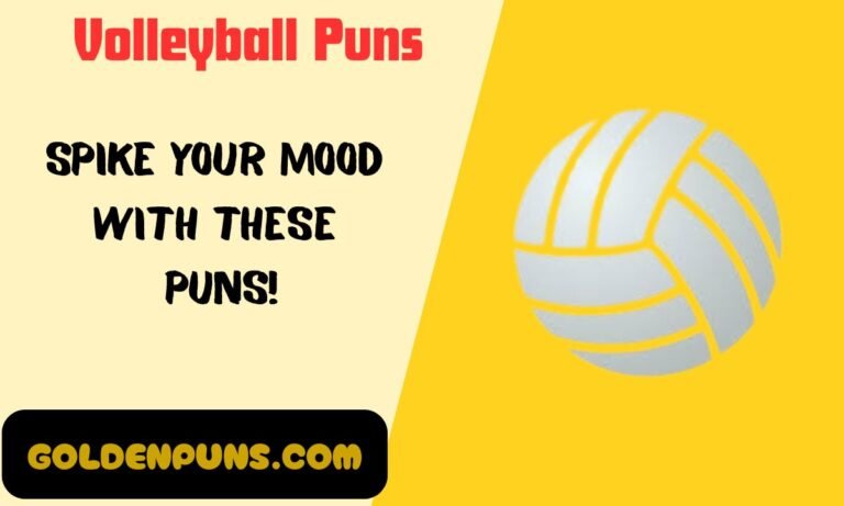 Volleyball Puns